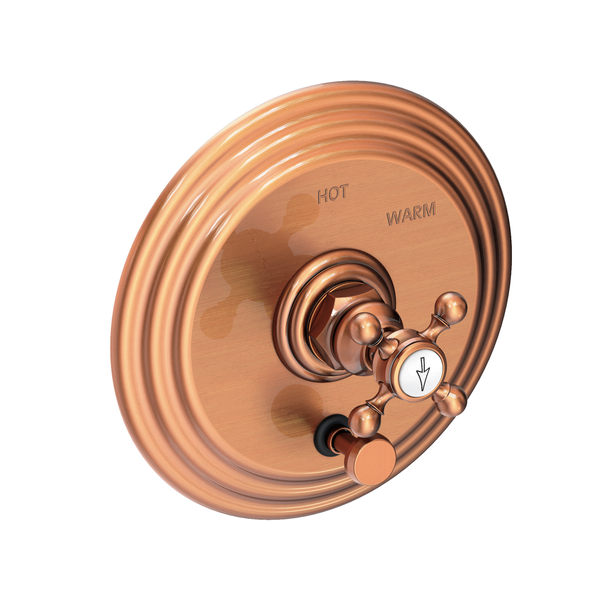 Newport Brass Astor® Balanced Pressure Tub & Shower Diverter Plate with Handle