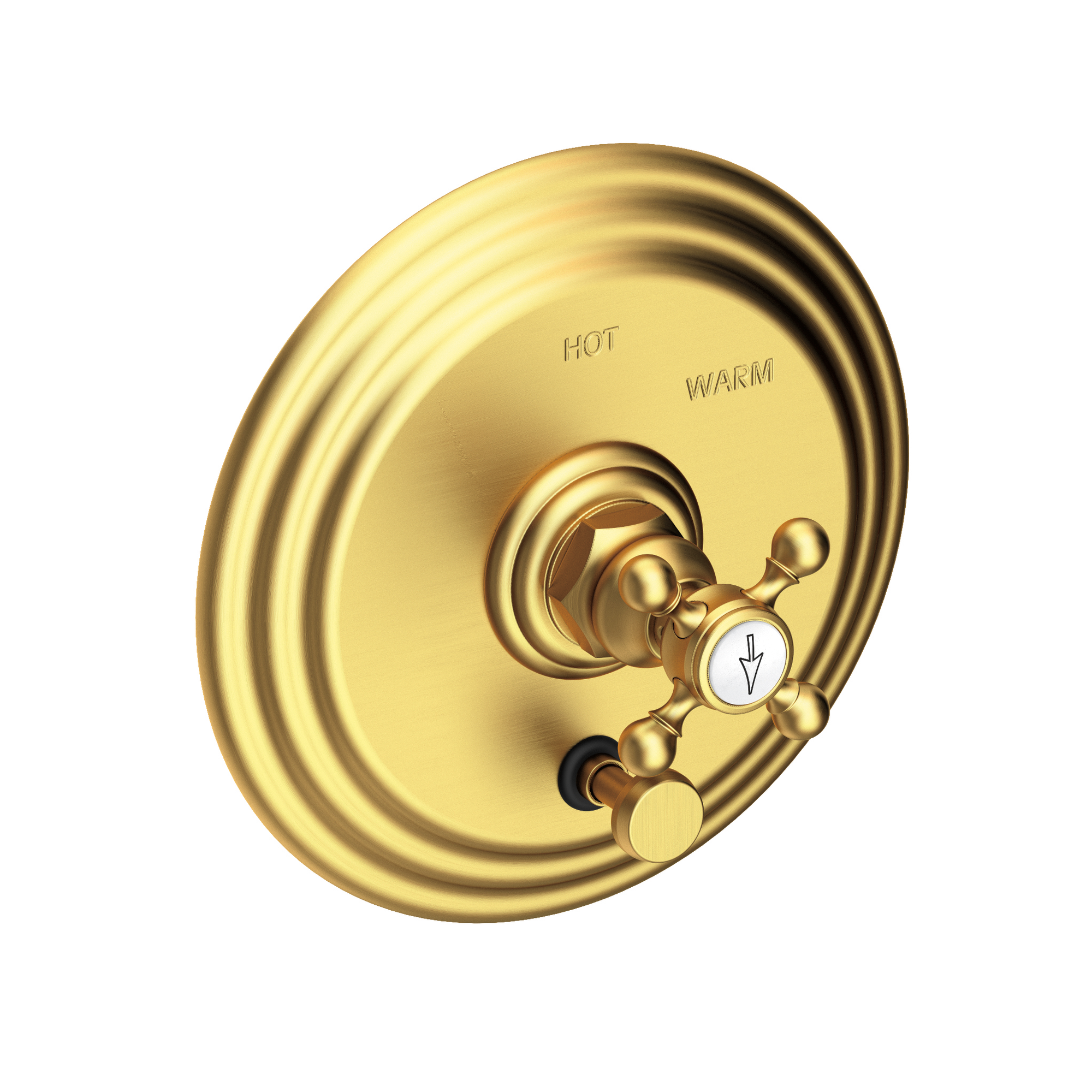 Newport Brass Astor® Balanced Pressure Tub & Shower Diverter Plate with Handle