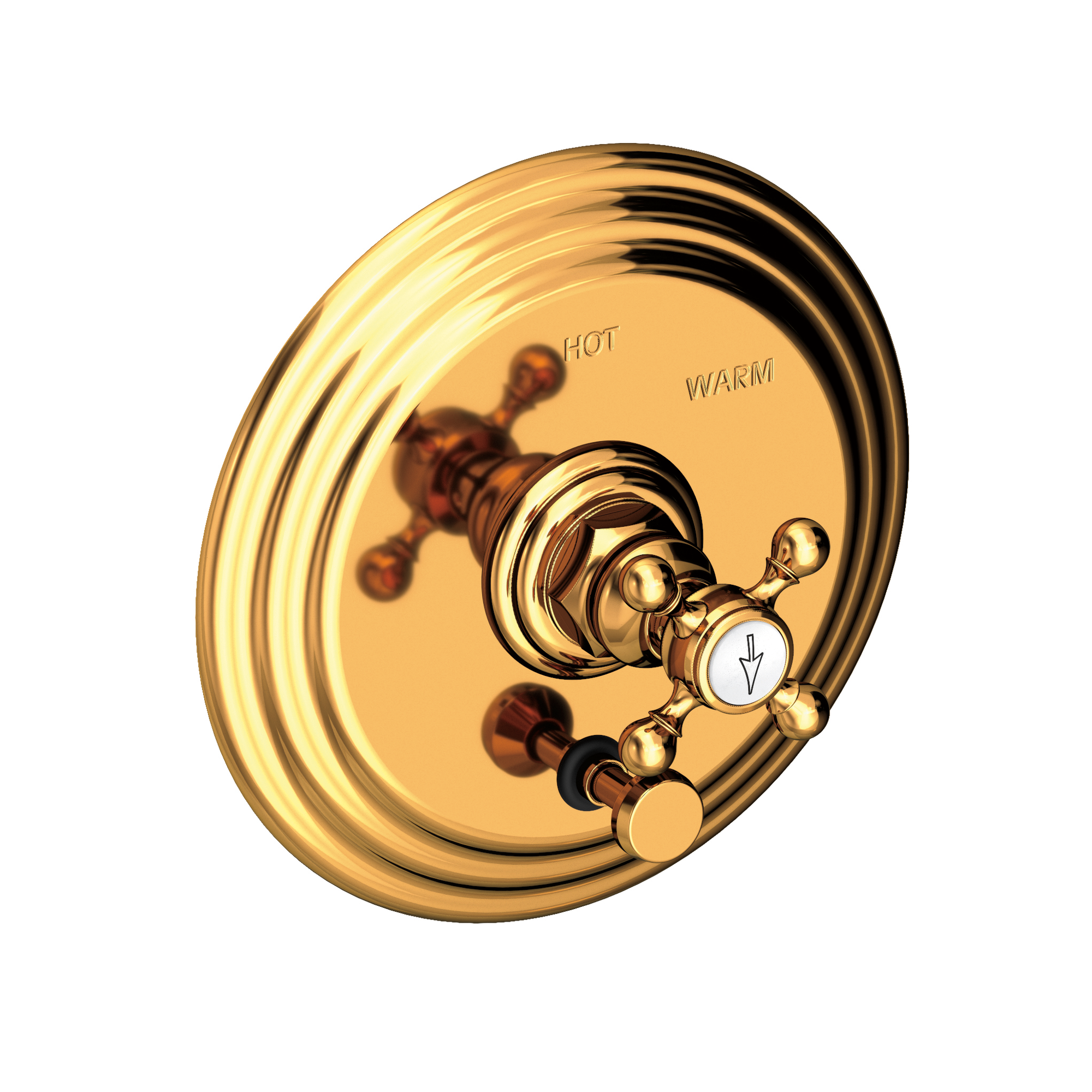 Newport Brass Astor® Balanced Pressure Tub & Shower Diverter Plate with Handle
