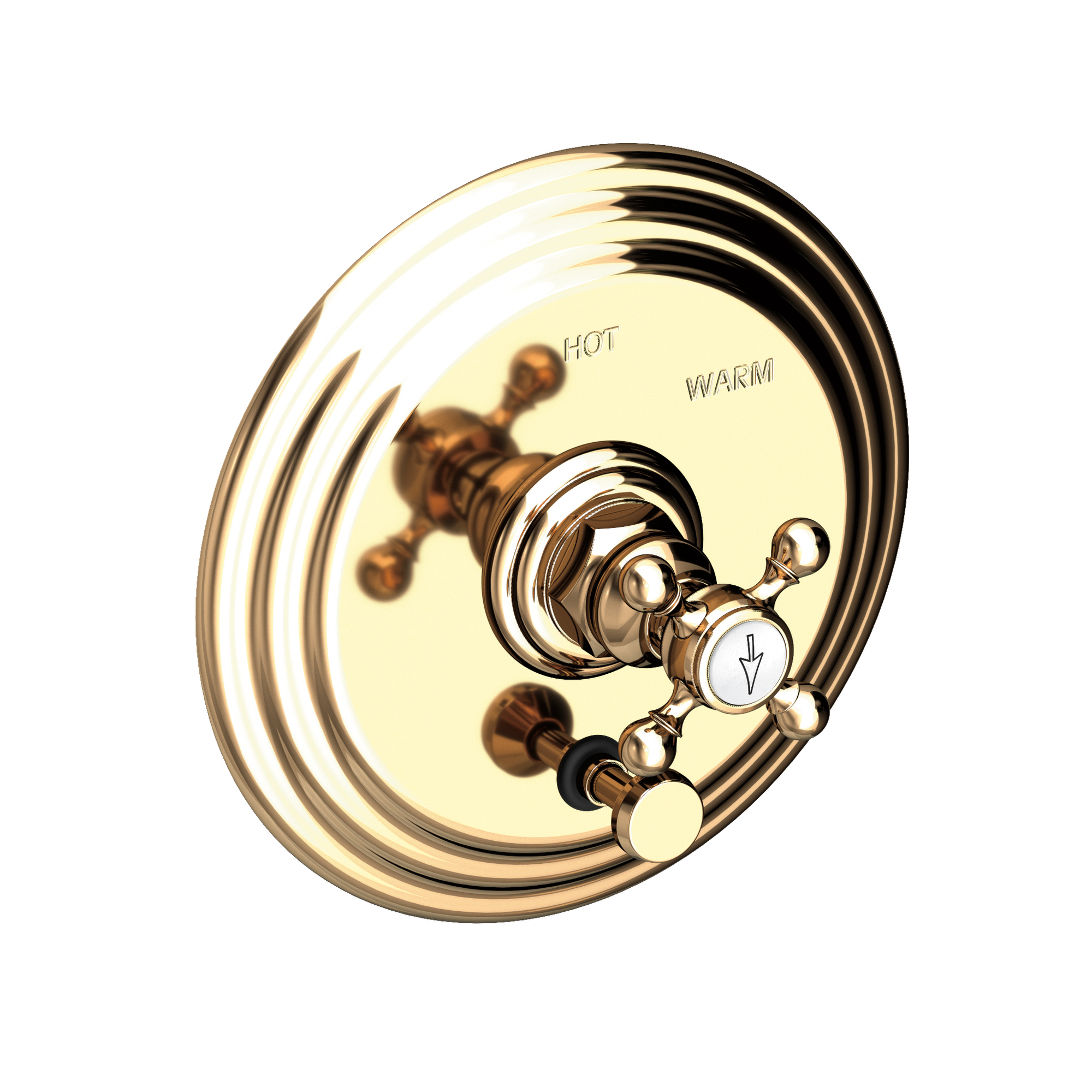 Newport Brass Astor® Balanced Pressure Tub & Shower Diverter Plate with Handle