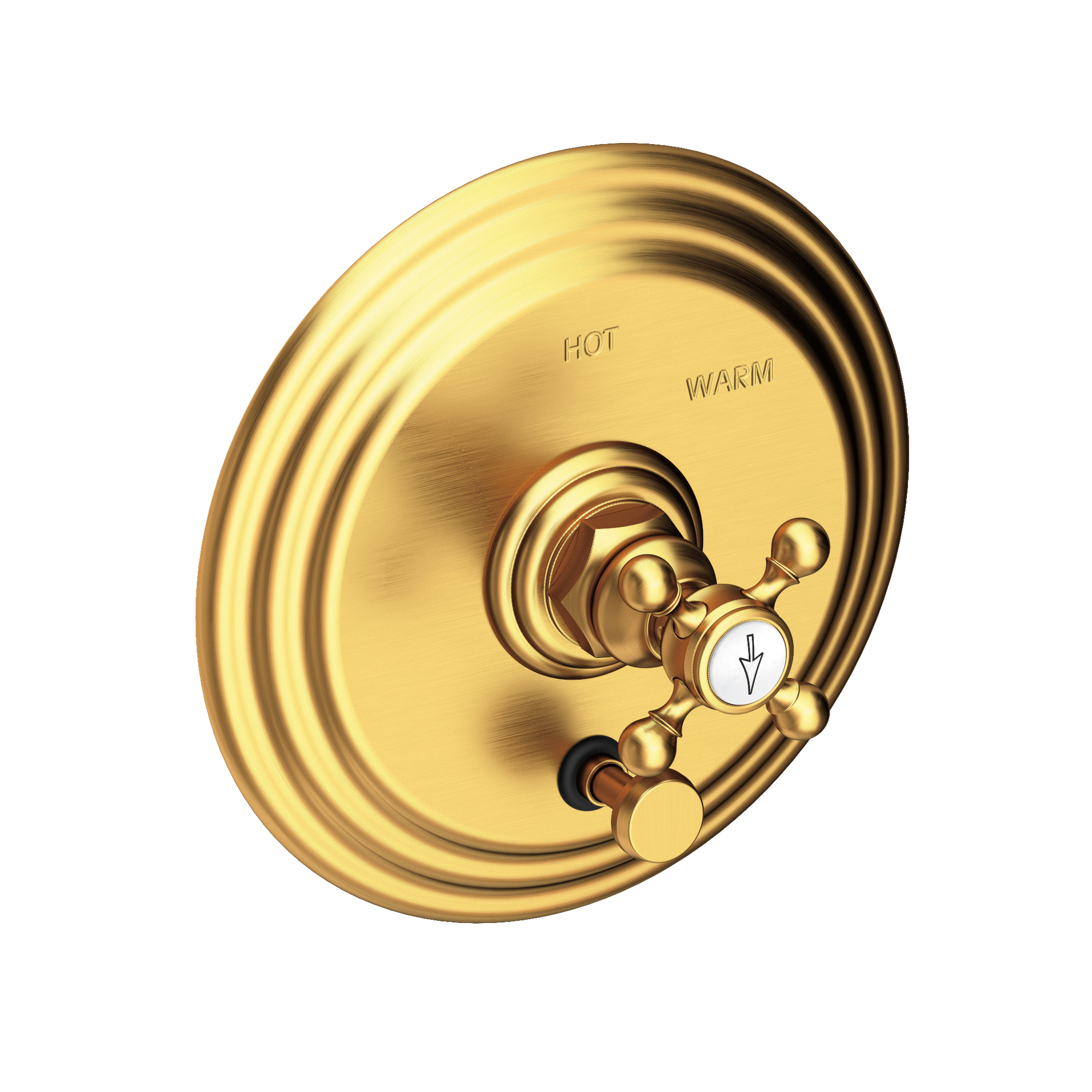 Newport Brass Astor® Balanced Pressure Tub & Shower Diverter Plate with Handle