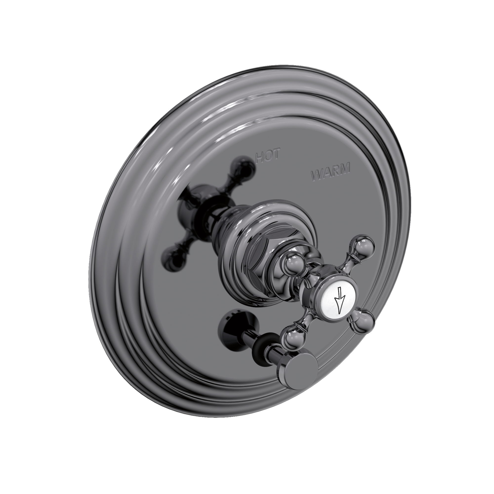 Newport Brass Astor® Balanced Pressure Tub & Shower Diverter Plate with Handle