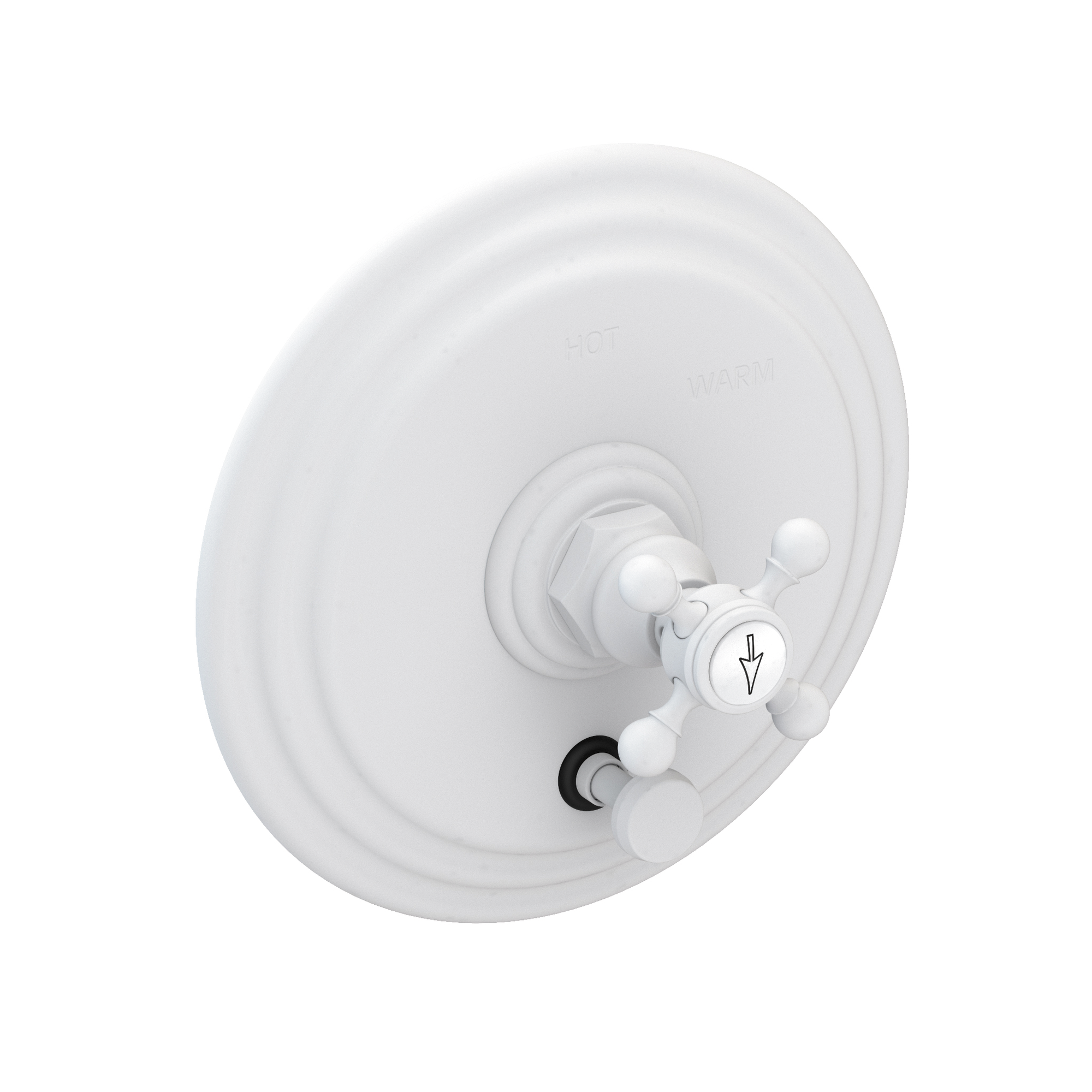 Newport Brass Astor® Balanced Pressure Tub & Shower Diverter Plate with Handle