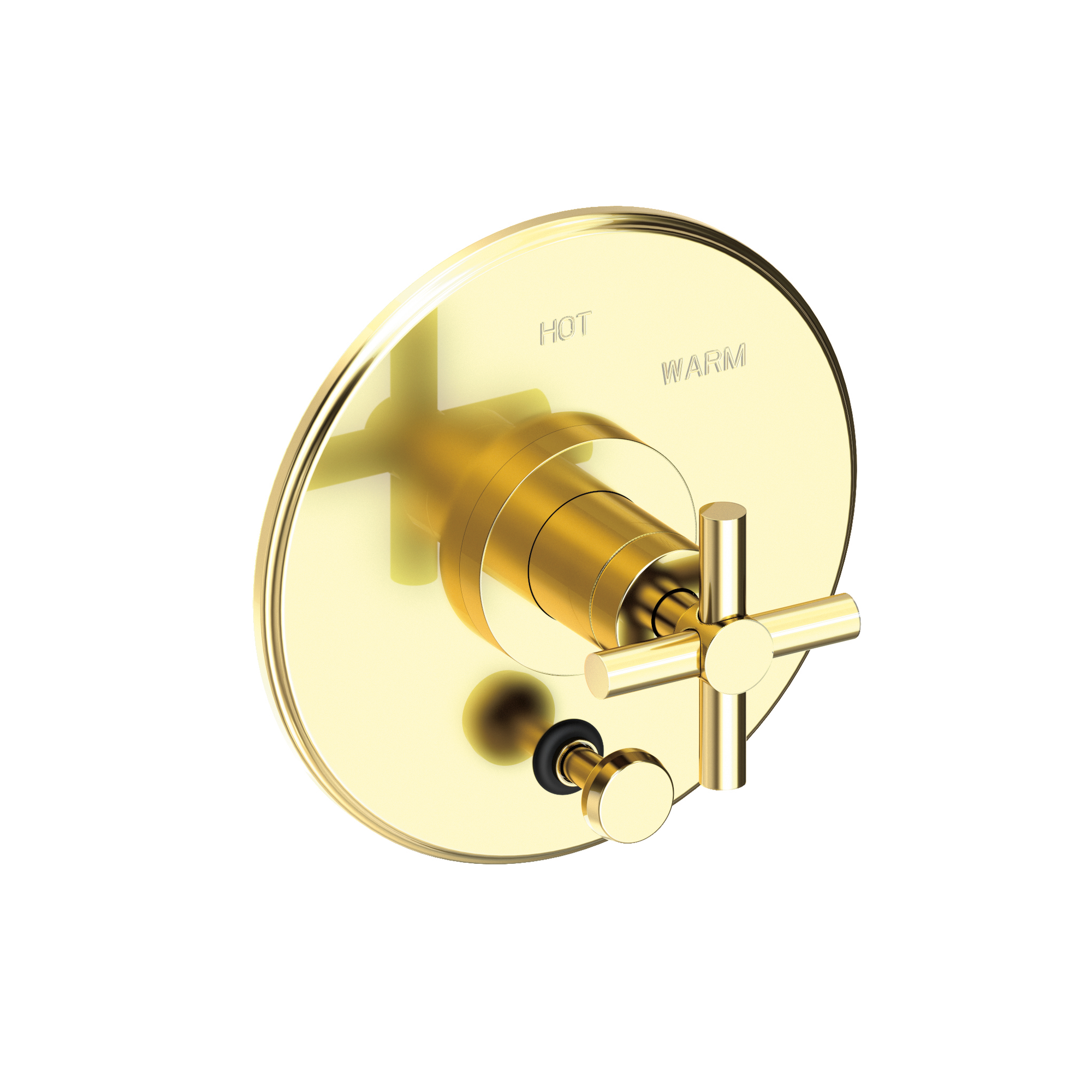 Newport Brass East Linear® Balanced Pressure Tub & Shower Diverter Plate with Handle