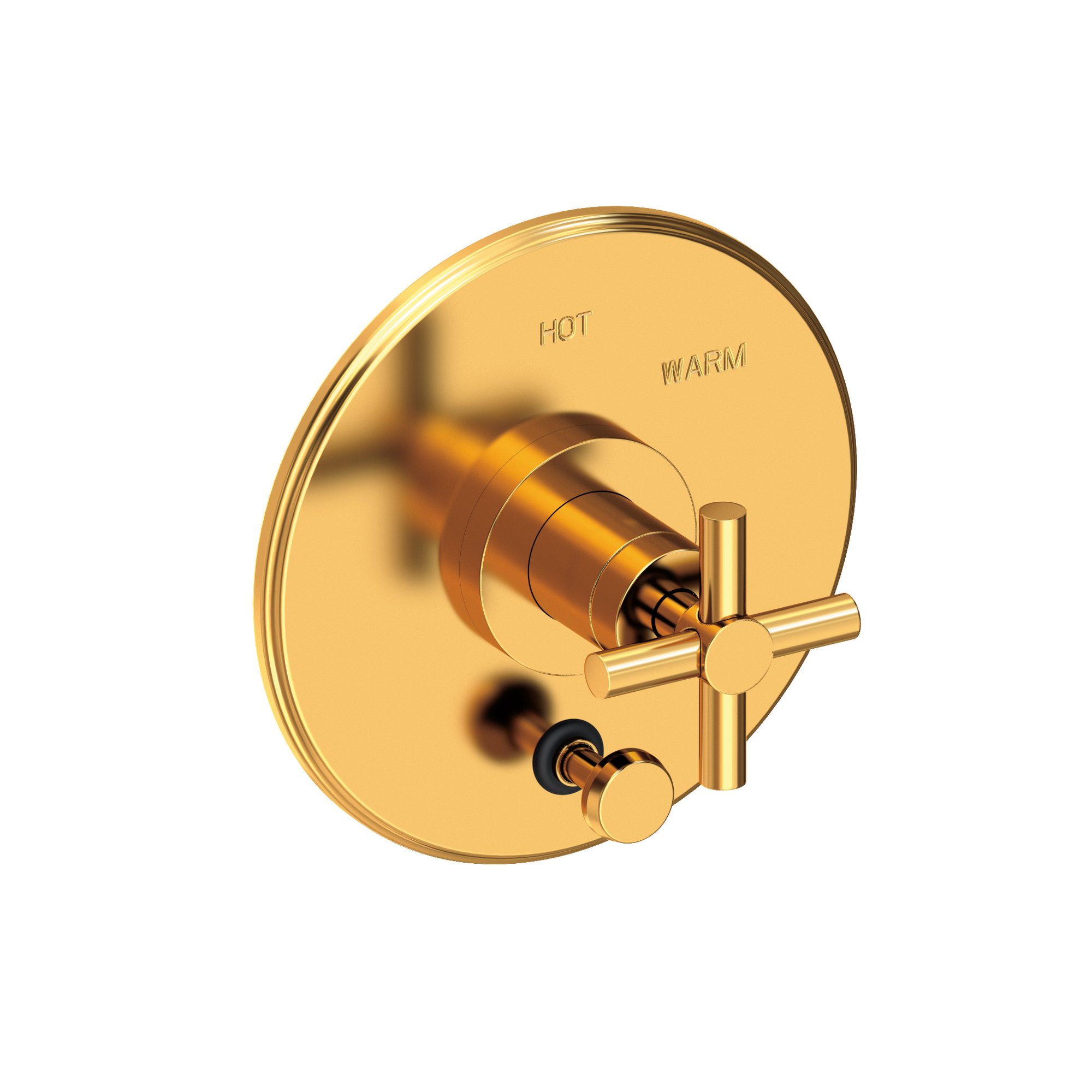 Newport Brass East Linear® Balanced Pressure Tub & Shower Diverter Plate with Handle