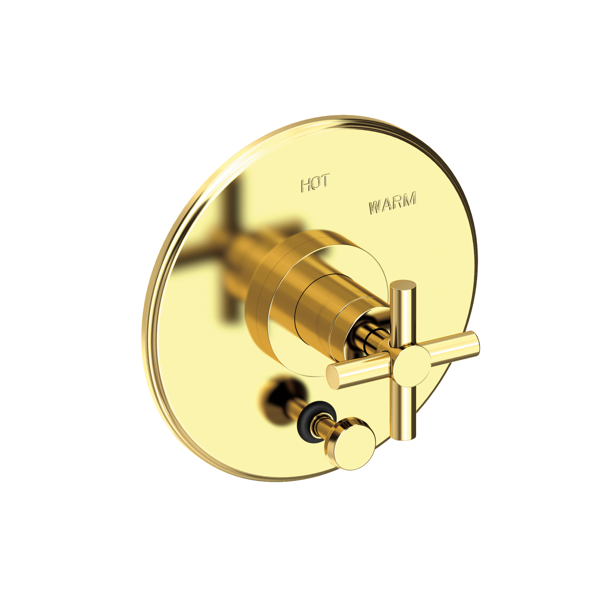 Newport Brass East Linear® Balanced Pressure Tub & Shower Diverter Plate with Handle