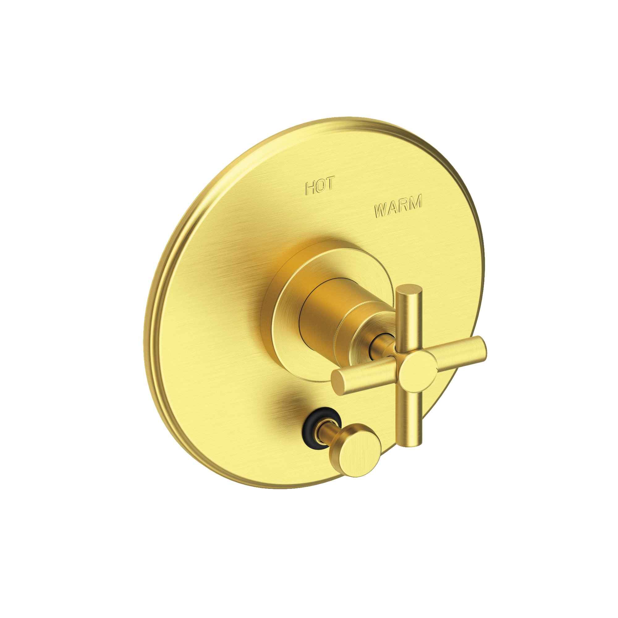 Newport Brass East Linear® Balanced Pressure Tub & Shower Diverter Plate with Handle