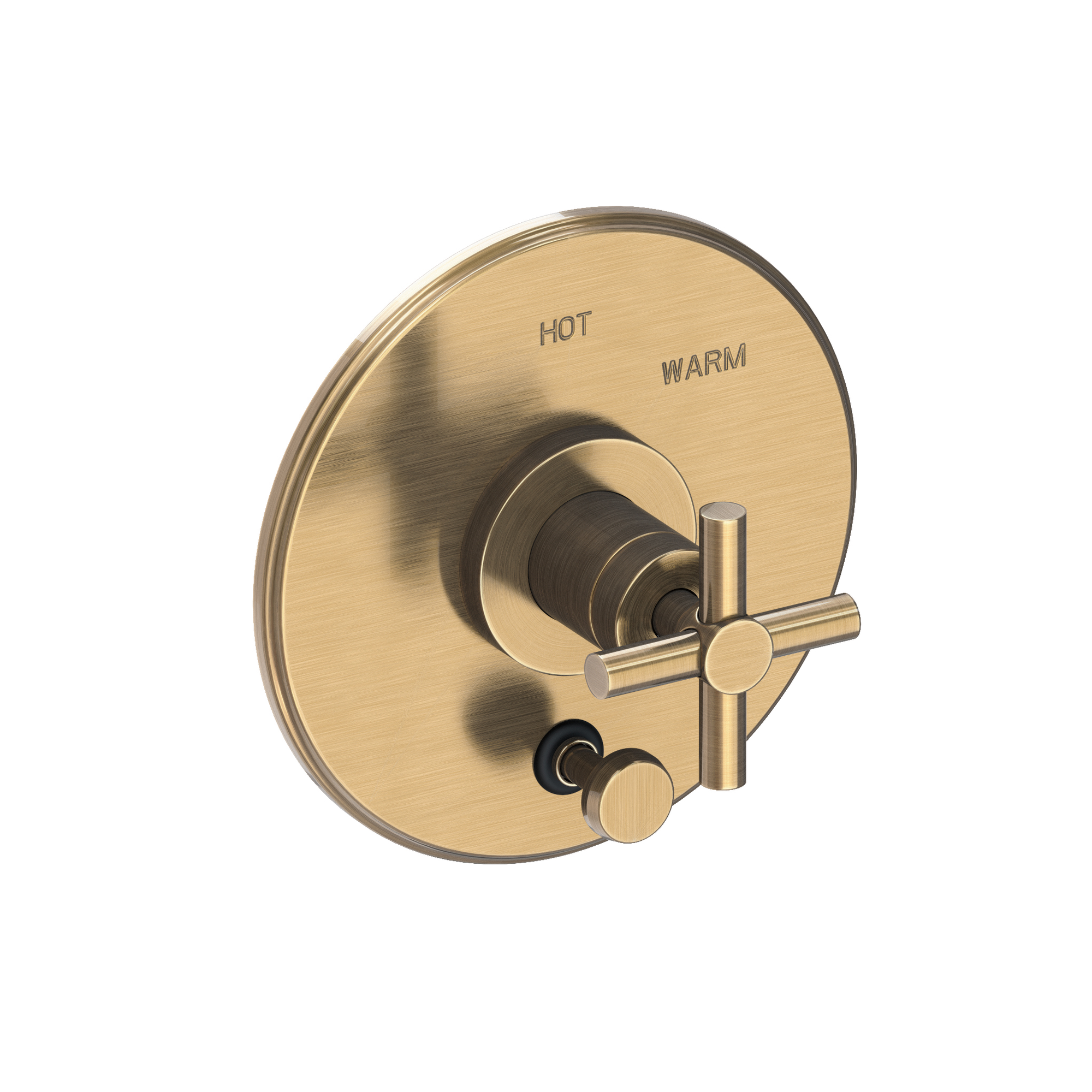 Newport Brass East Linear® Balanced Pressure Tub & Shower Diverter Plate with Handle