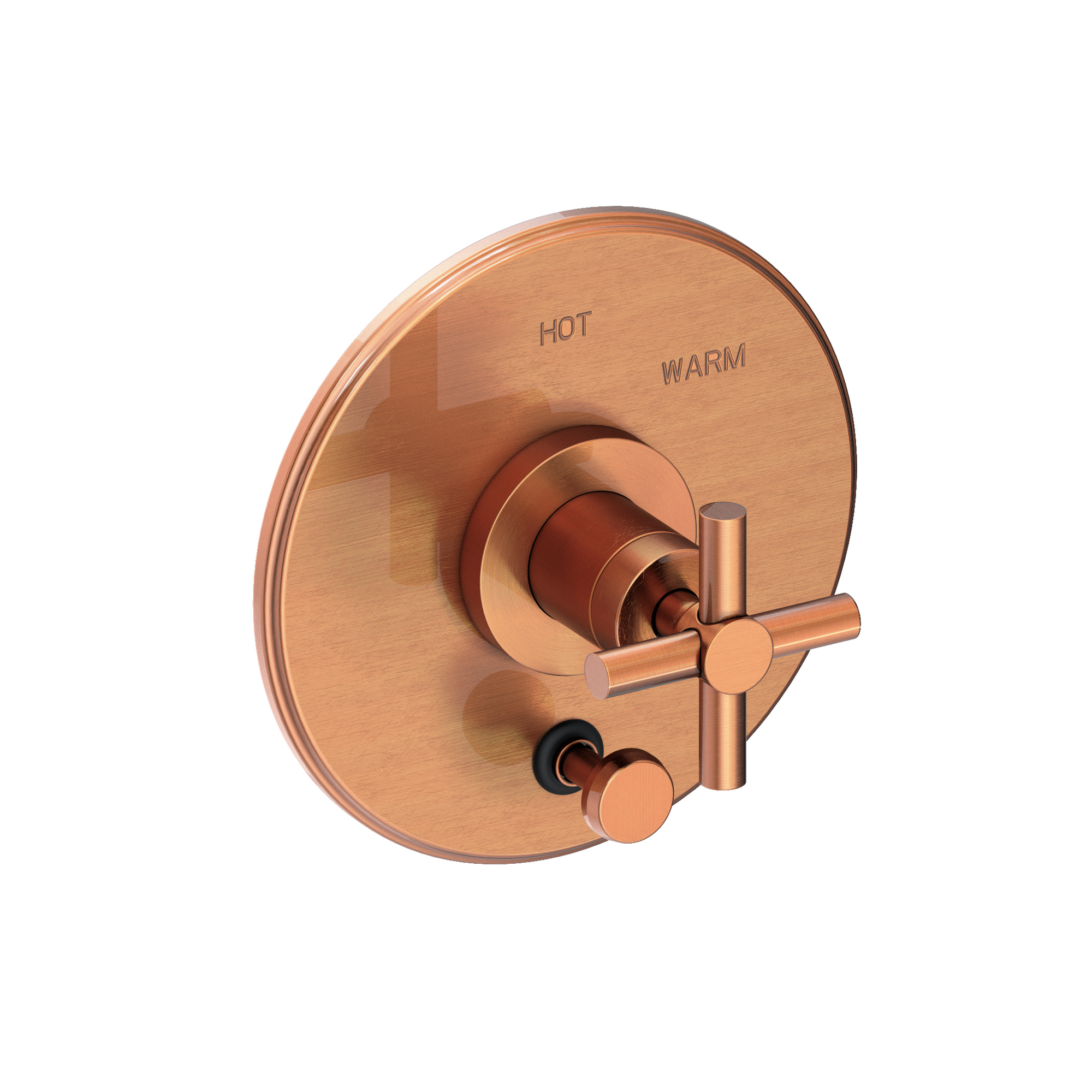 Newport Brass East Linear® Balanced Pressure Tub & Shower Diverter Plate with Handle