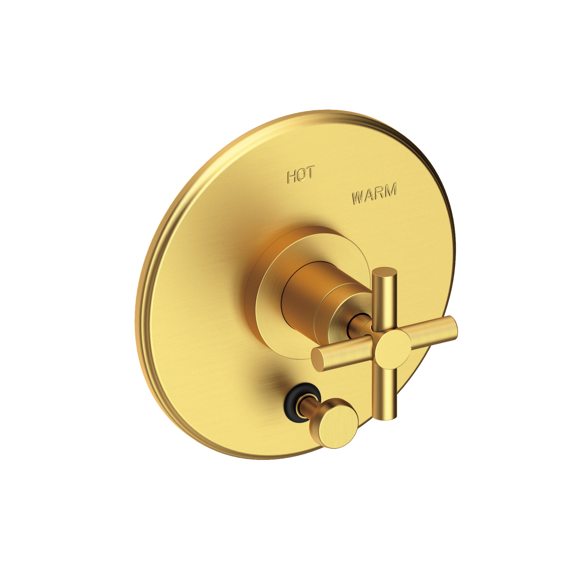 Newport Brass East Linear® Balanced Pressure Tub & Shower Diverter Plate with Handle