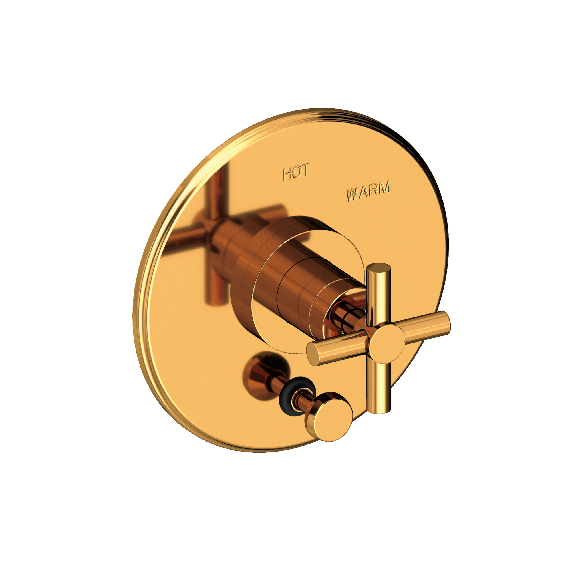 Newport Brass East Linear® Balanced Pressure Tub & Shower Diverter Plate with Handle