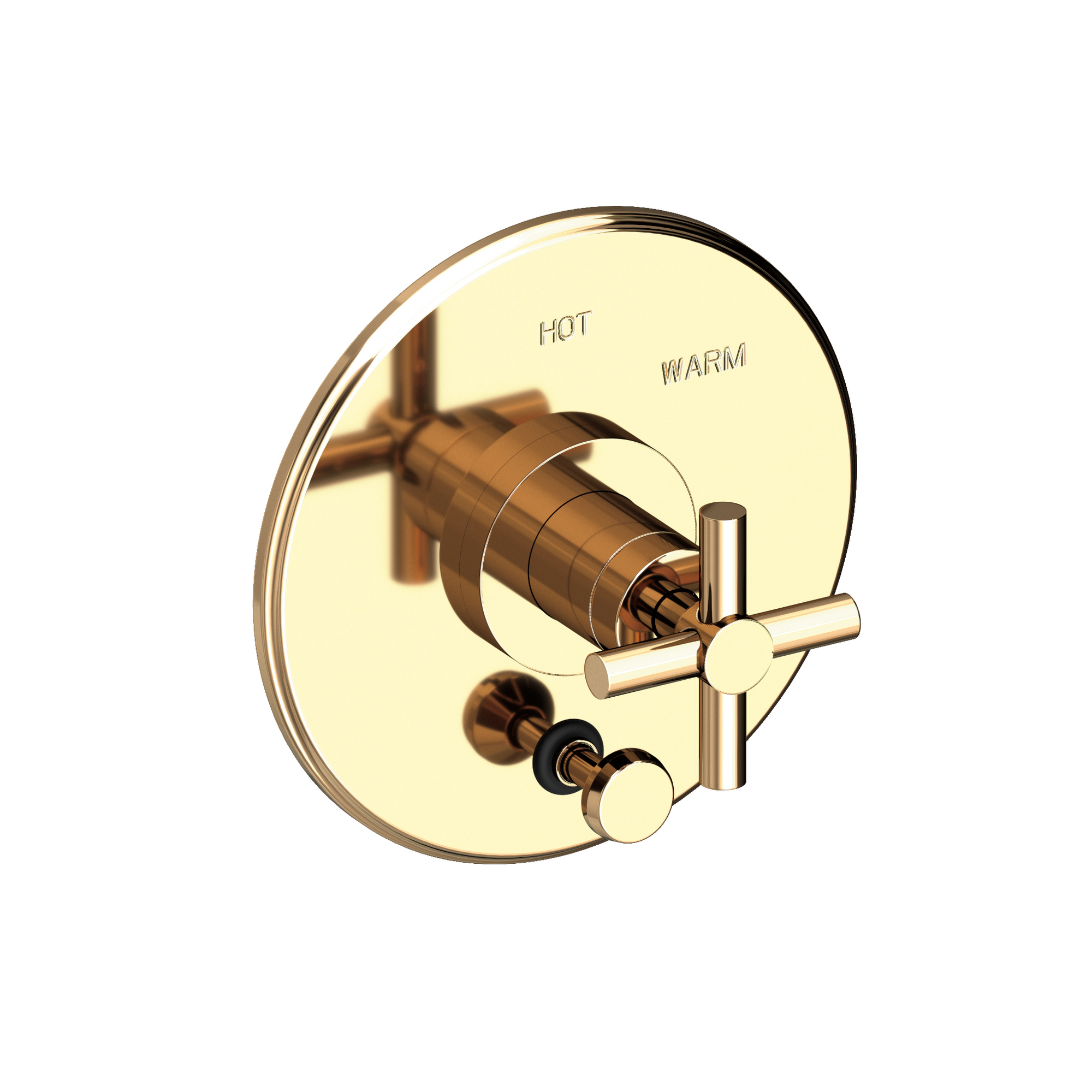 Newport Brass East Linear® Balanced Pressure Tub & Shower Diverter Plate with Handle