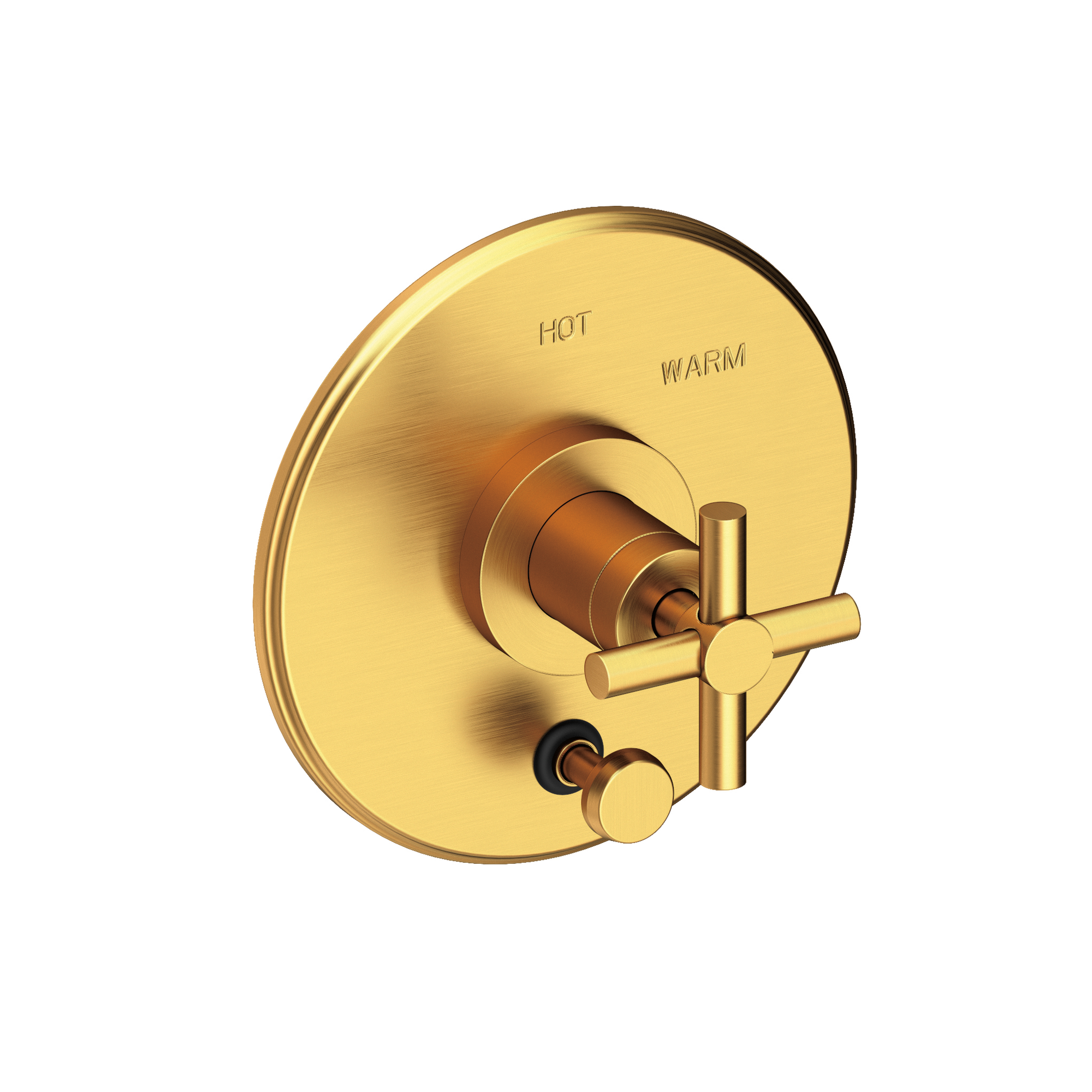 Newport Brass East Linear® Balanced Pressure Tub & Shower Diverter Plate with Handle