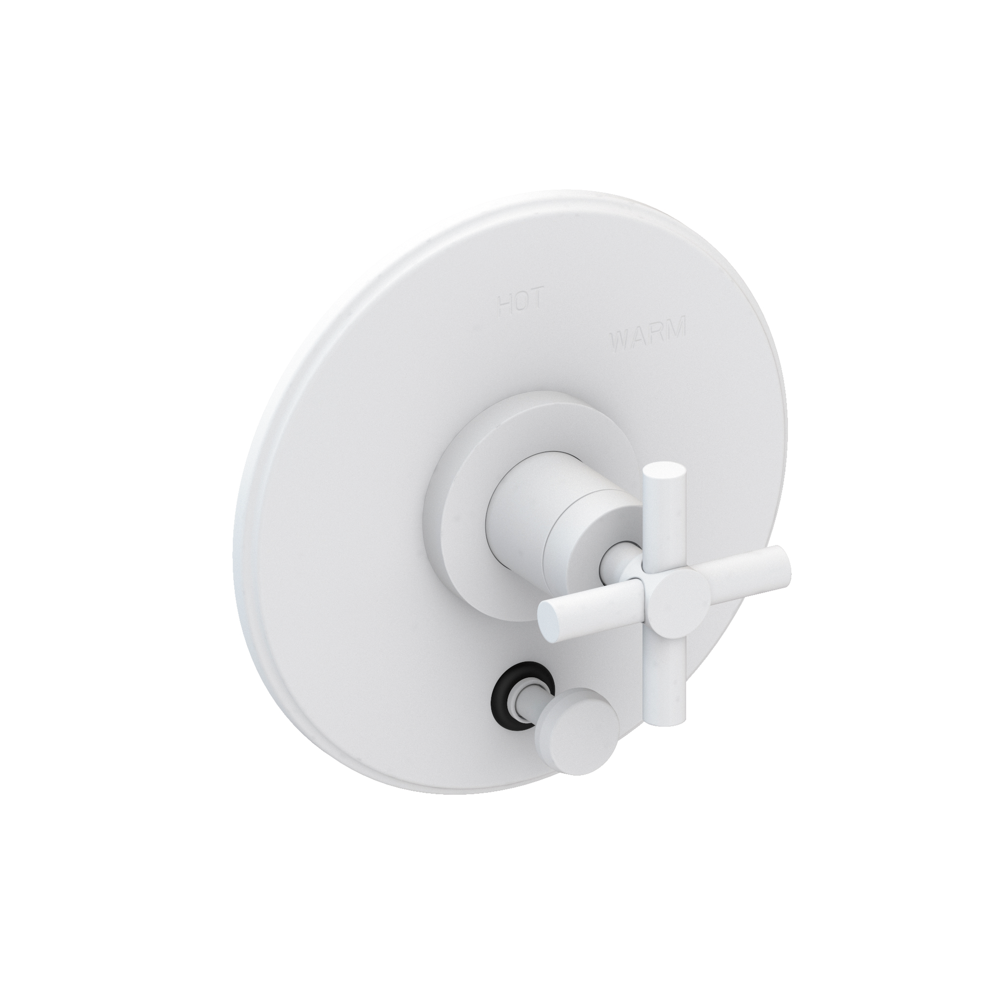 Newport Brass East Linear® Balanced Pressure Tub & Shower Diverter Plate with Handle