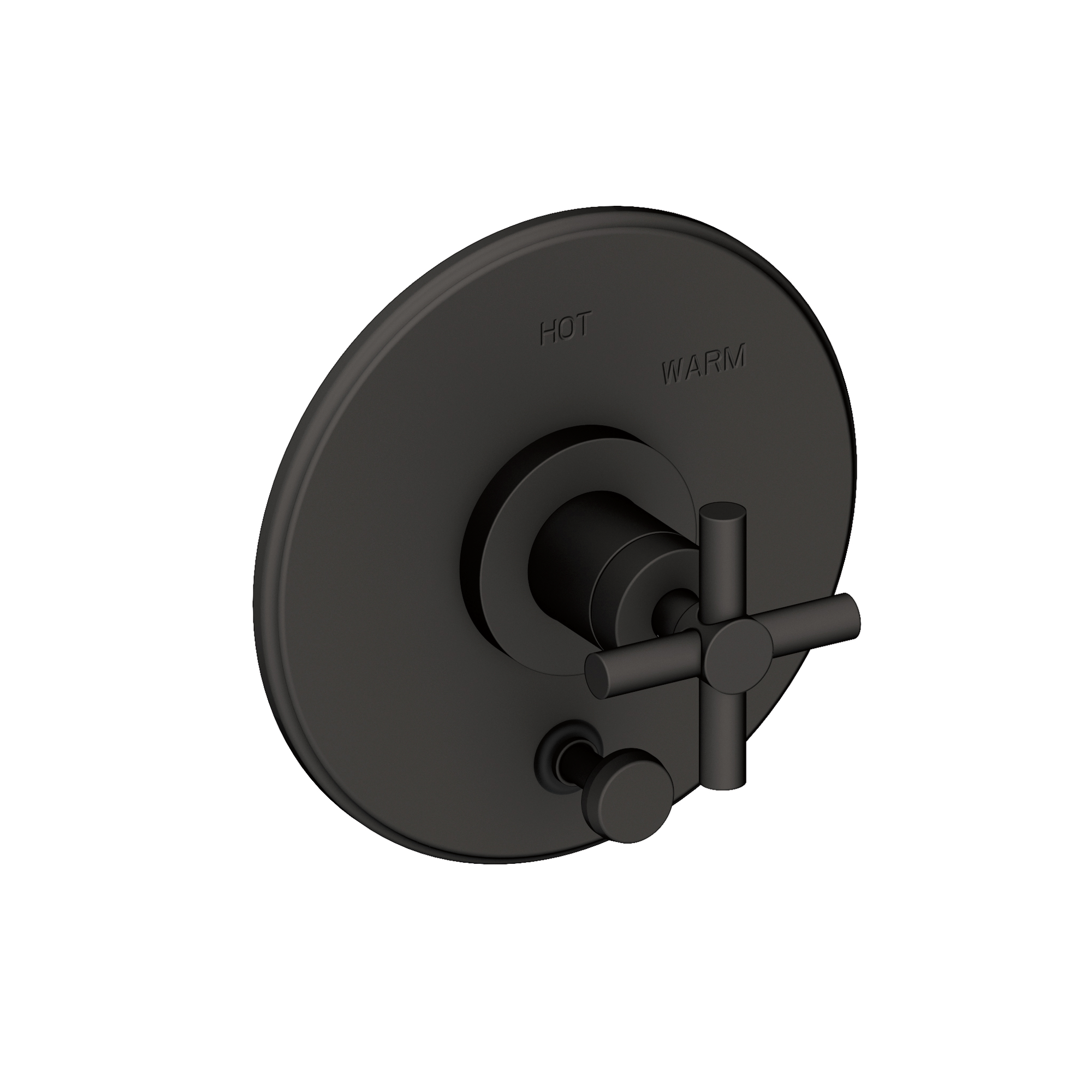 Newport Brass East Linear® Balanced Pressure Tub & Shower Diverter Plate with Handle