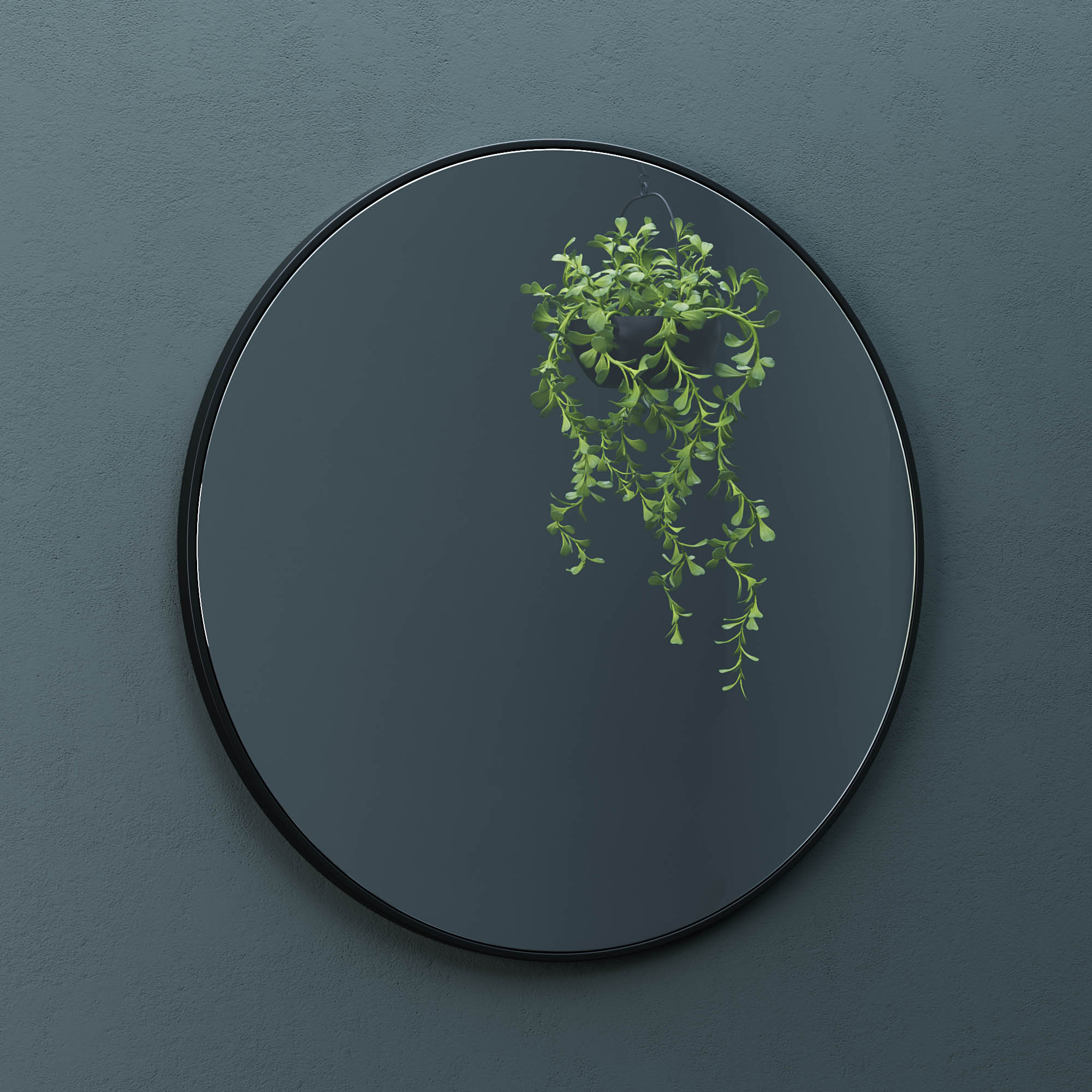 Alu Frame Mirror-5004 Dia 24?