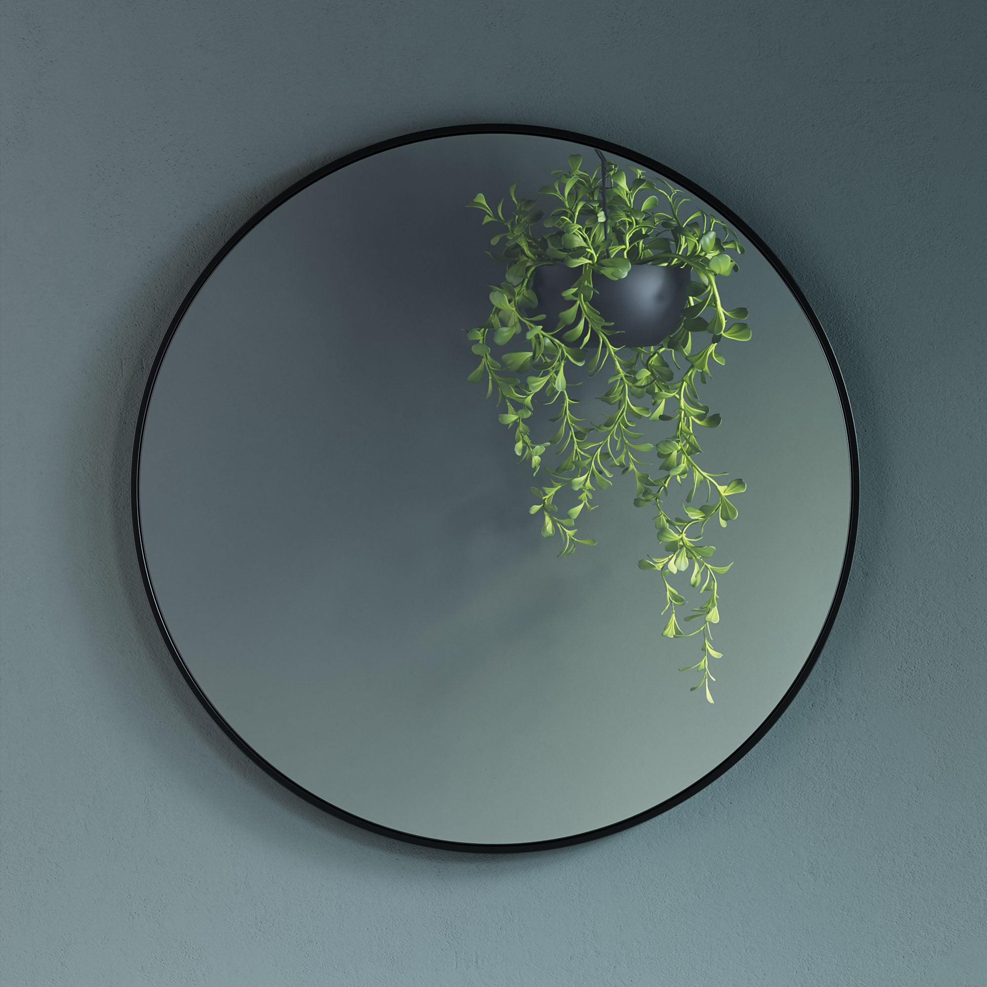 Alu Frame Mirror-5004 Dia 24?