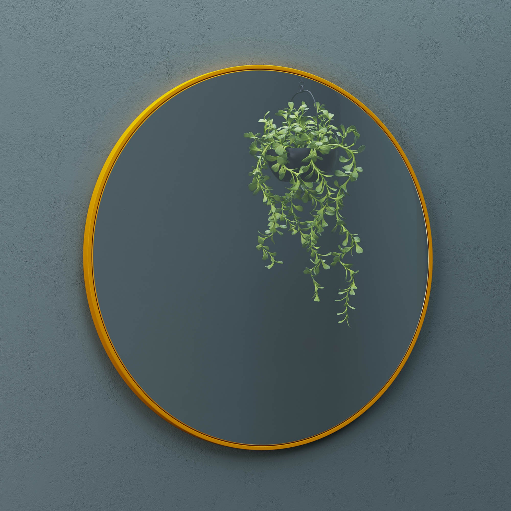 Alu Frame Mirror-5004 Dia 24?