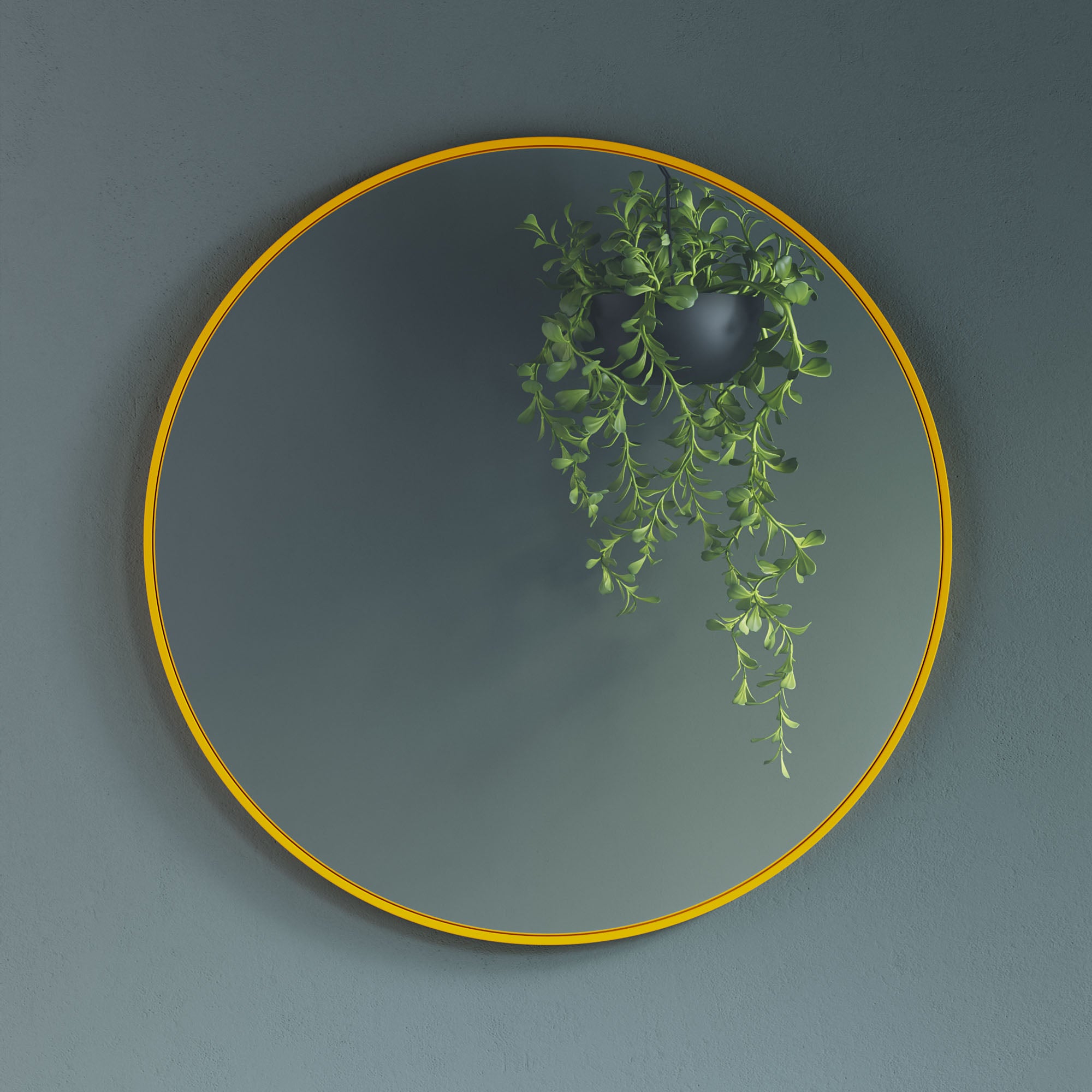Alu Frame Mirror-5004 Dia 24?