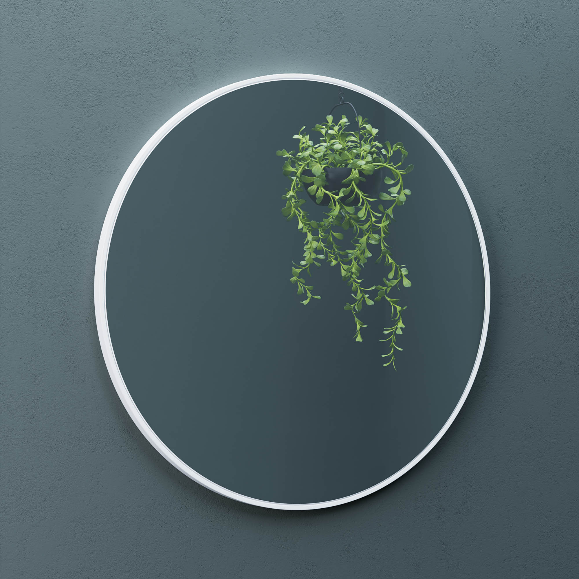 Alu Frame Mirror-5004 Dia 24?