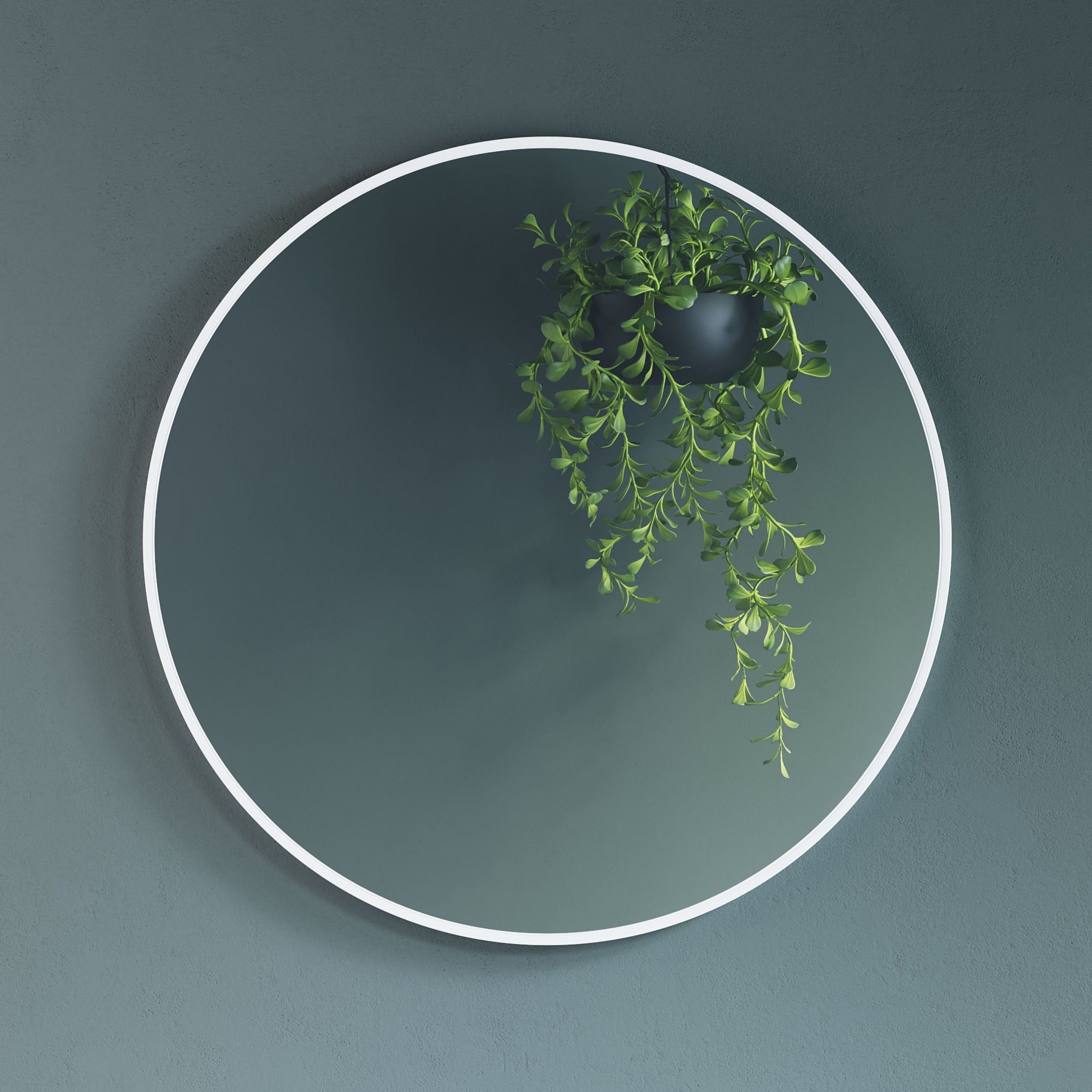 Alu Frame Mirror-5004 Dia 24?