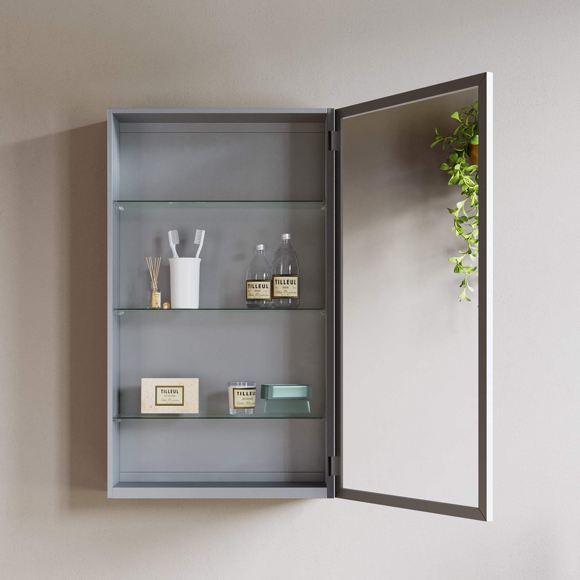 Mirror Cabinet - 5007 1831 05M