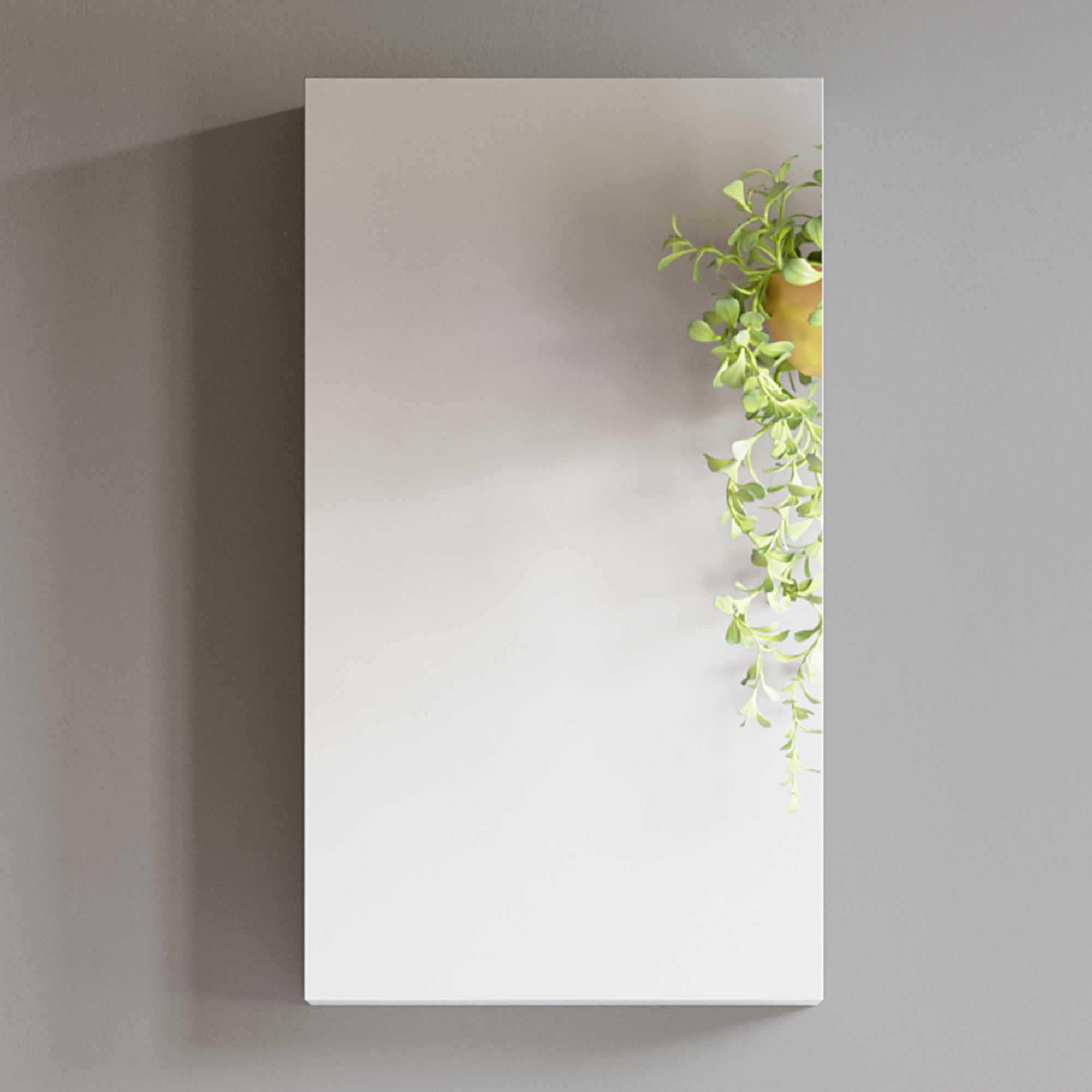 Mirror Cabinet - 5007 1831 05M