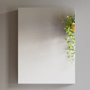 Mirror Cabinet - 5007 2431 05M