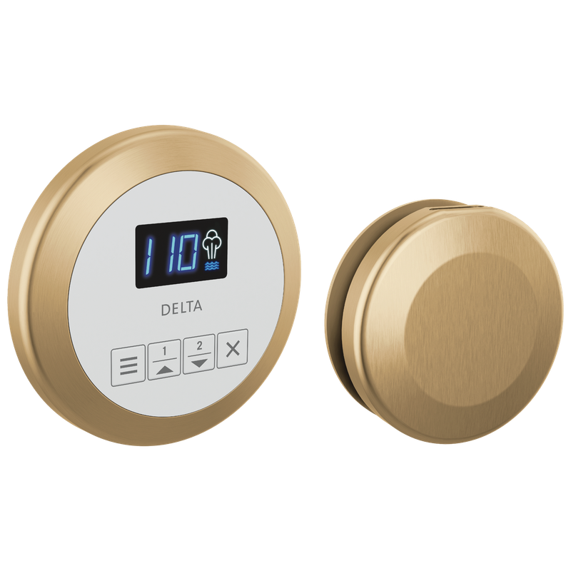 Delta Universal Showering Components Round Steam Package