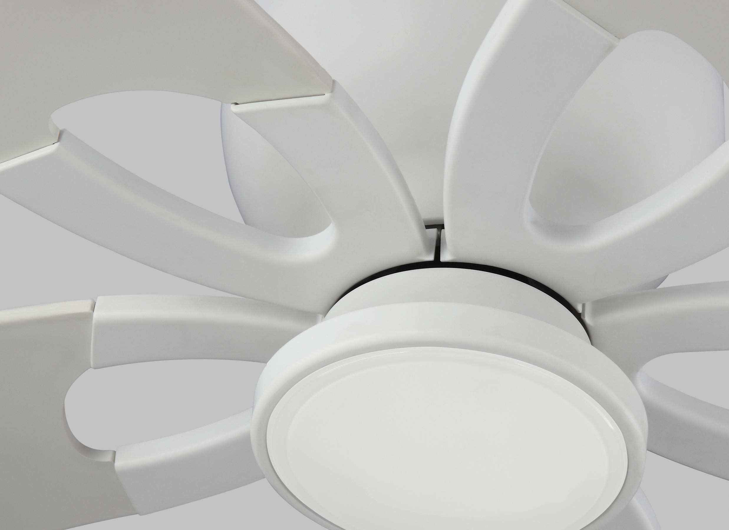 Lily 56" Ceiling Fan