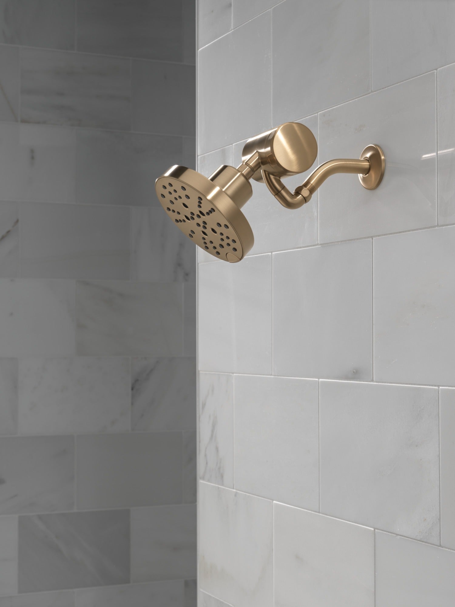 Delta Clarifi™ Premium Shower Filter Attachment