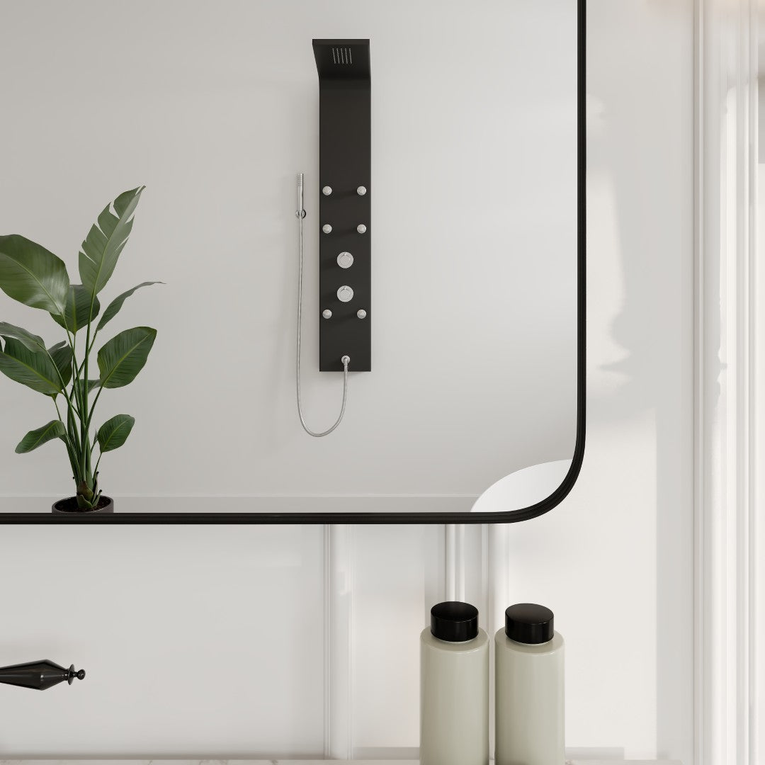 Eviva Harmony Black Metal Framed Mirror
