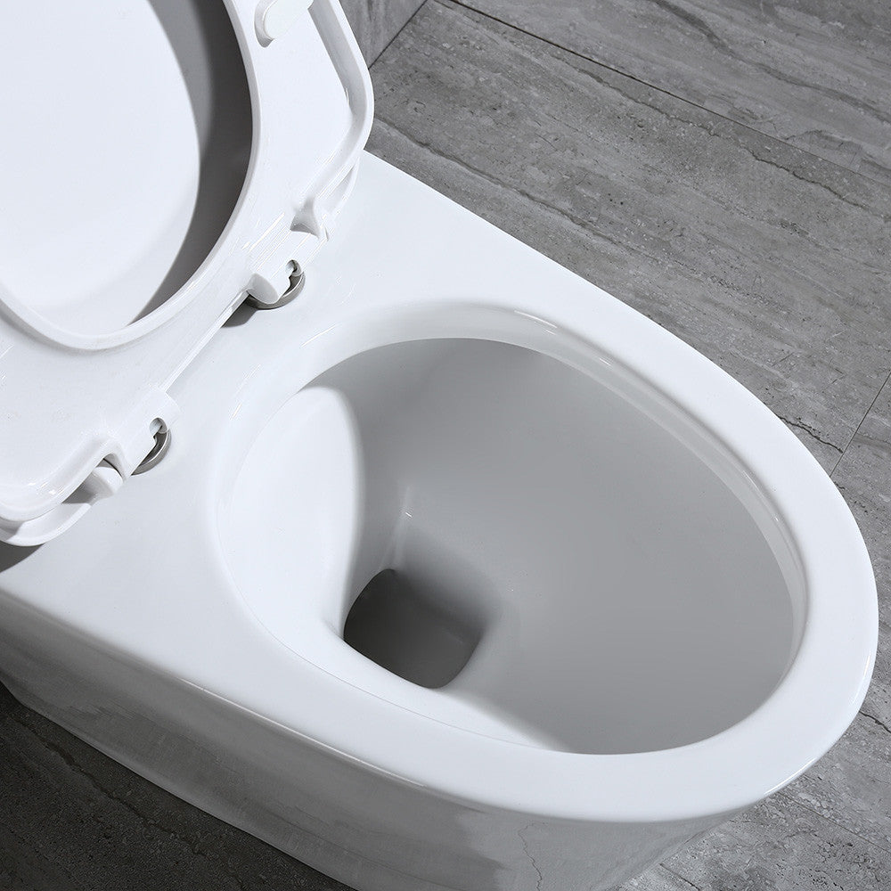 WOODBRIDGE T-0019, Dual Flush Elongated One Piece Toilet with Soft Closing Seat, Chair Height, Water Sense, High-Efficiency, Rectangle Button
