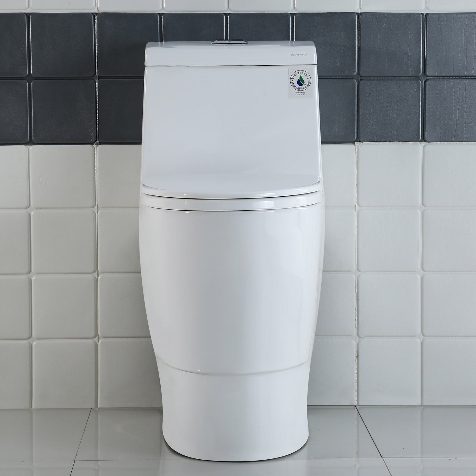 WOODBRIDGE One Piece Dual Flush 1.0/1.6 Gpf,with Soft Closing Seat, White, Elongated Toilet, B0910/T-0035, Convenient 20" Seating Height