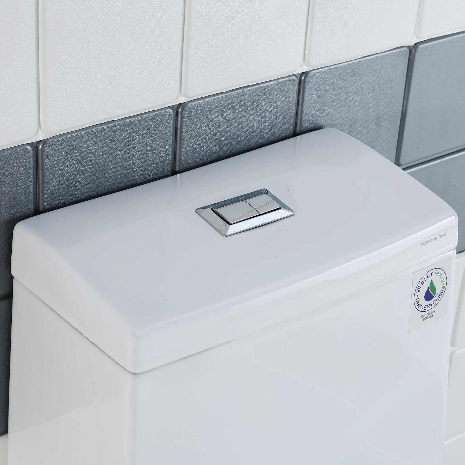 WOODBRIDGE One Piece Dual Flush 1.0/1.6 Gpf,with Soft Closing Seat, White, Elongated Toilet, B0910/T-0035, Convenient 20" Seating Height