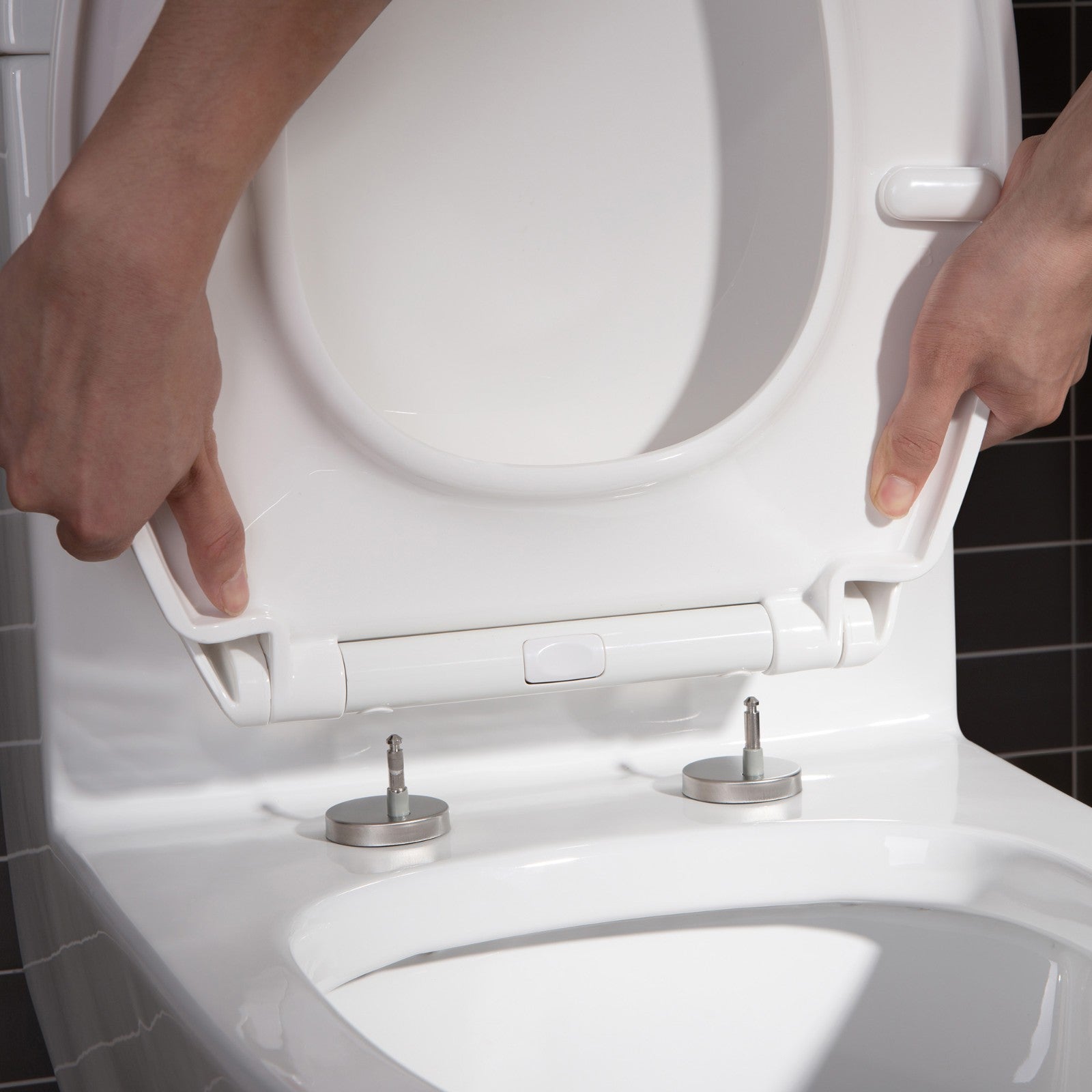 WOODBRIDGE Moder Design, Elongated One piece Toilet Dual flush 1.0/1.6 GPF,with Soft Closing Seat, white, (2 -Pack)