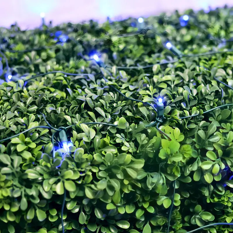 5mm 4' x 6'  Blue LED Net Lights