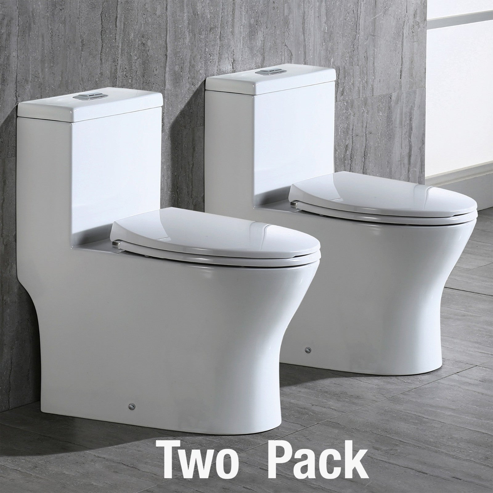 WOODBRIDGE Moder Design, Elongated One piece Toilet Dual flush 1.0/1.6 GPF,with Soft Closing Seat, white, (2 -Pack)
