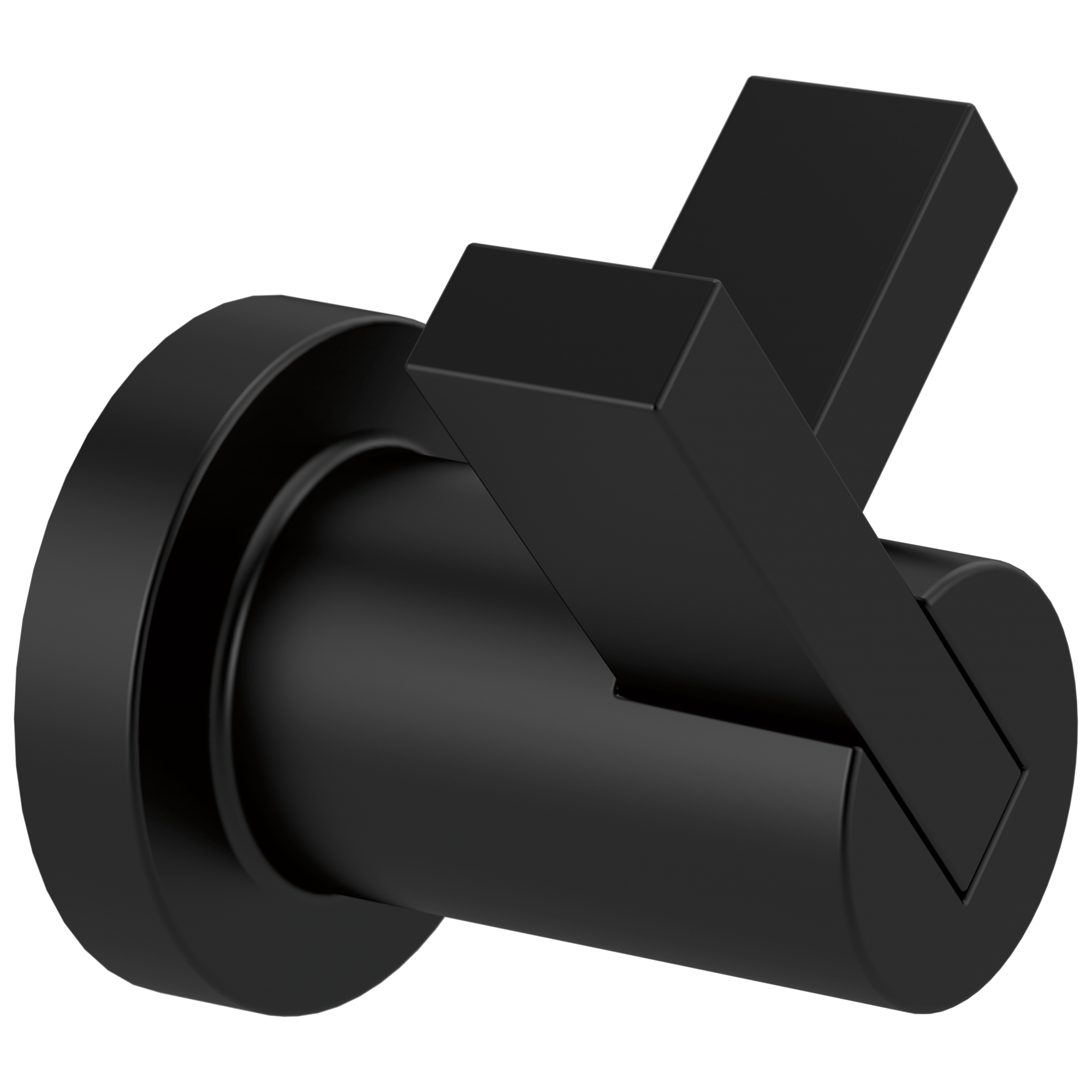 Brizo Litze® Double Robe Hook