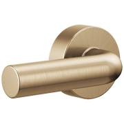 Brizo Litze® Universal Flush Lever