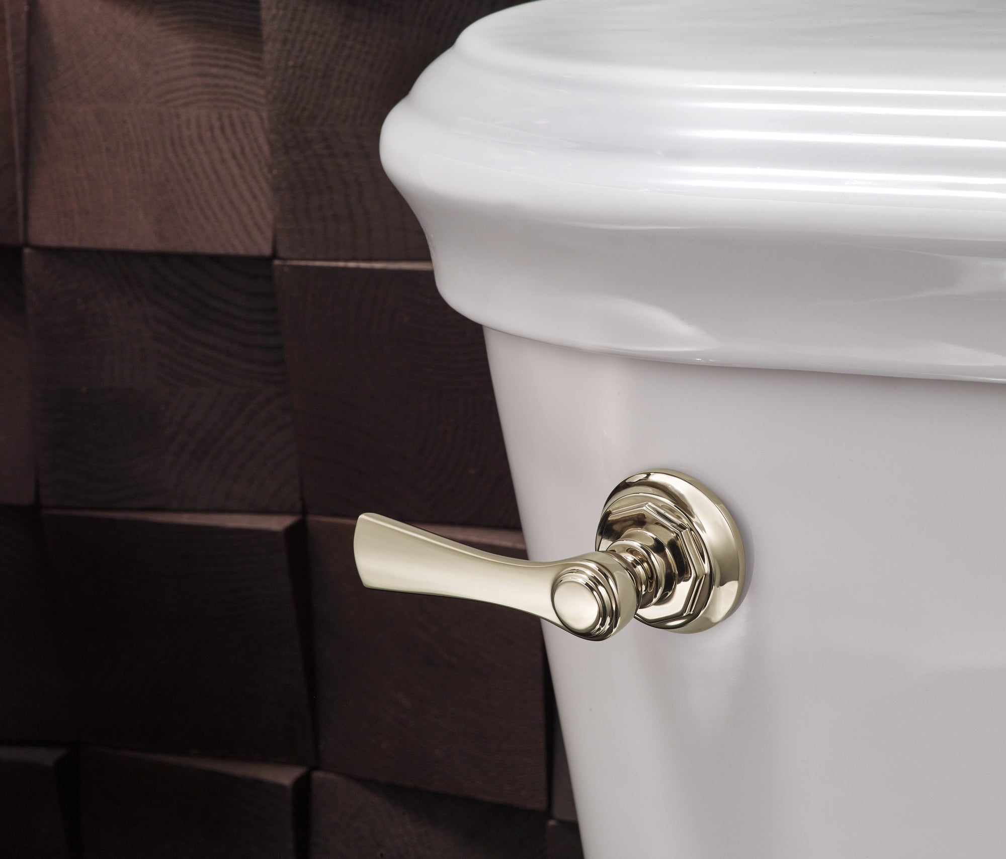 Brizo Rook® Universal Flush Lever