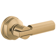 Brizo Invari® Universal Flush Lever