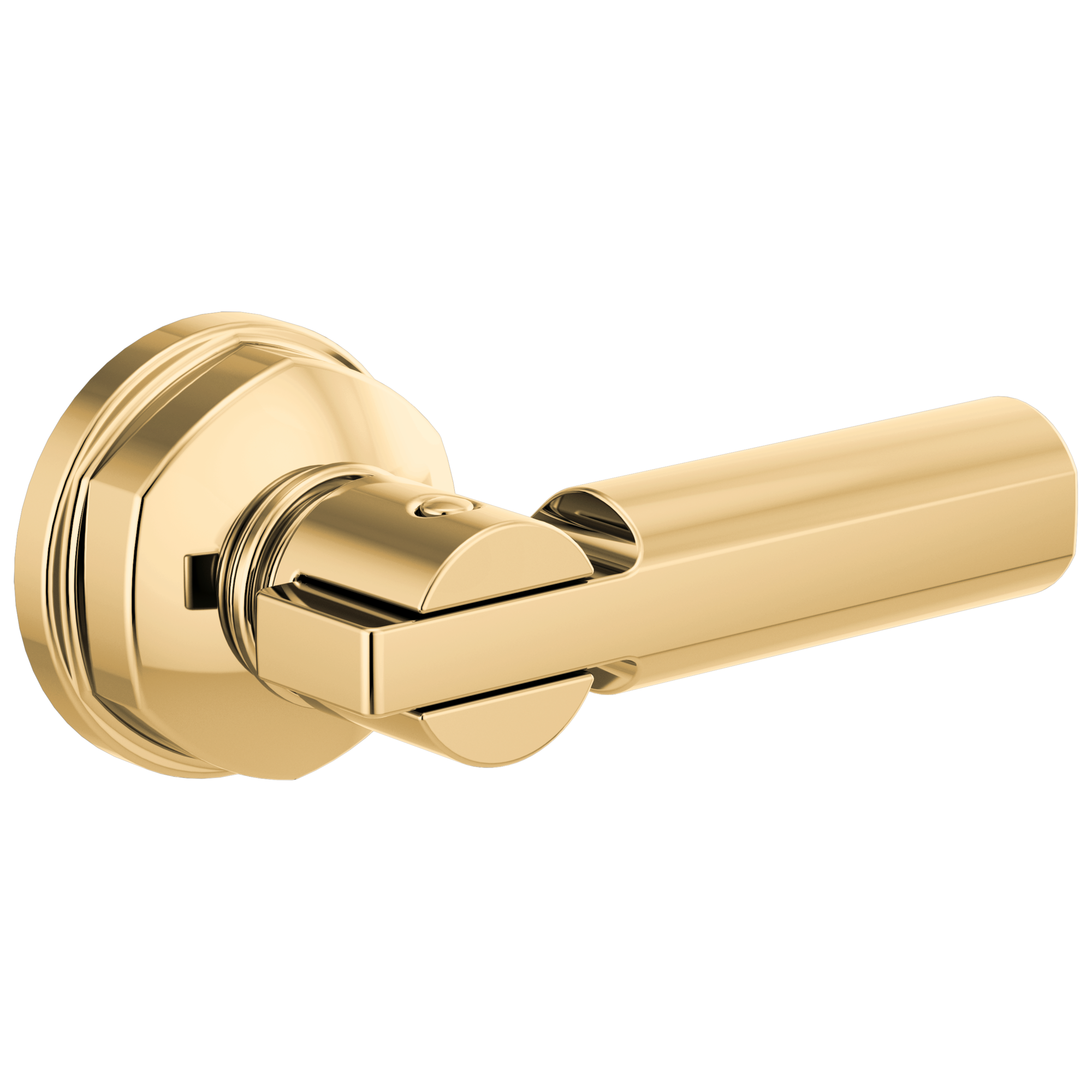 Brizo Invari® Universal Flush Lever