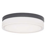 Cirque Small Outdoor Wall/Flush Mount