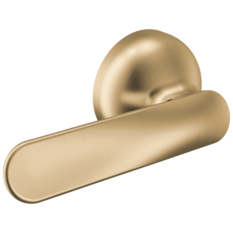 Delta Bonacci™ Tank Lever