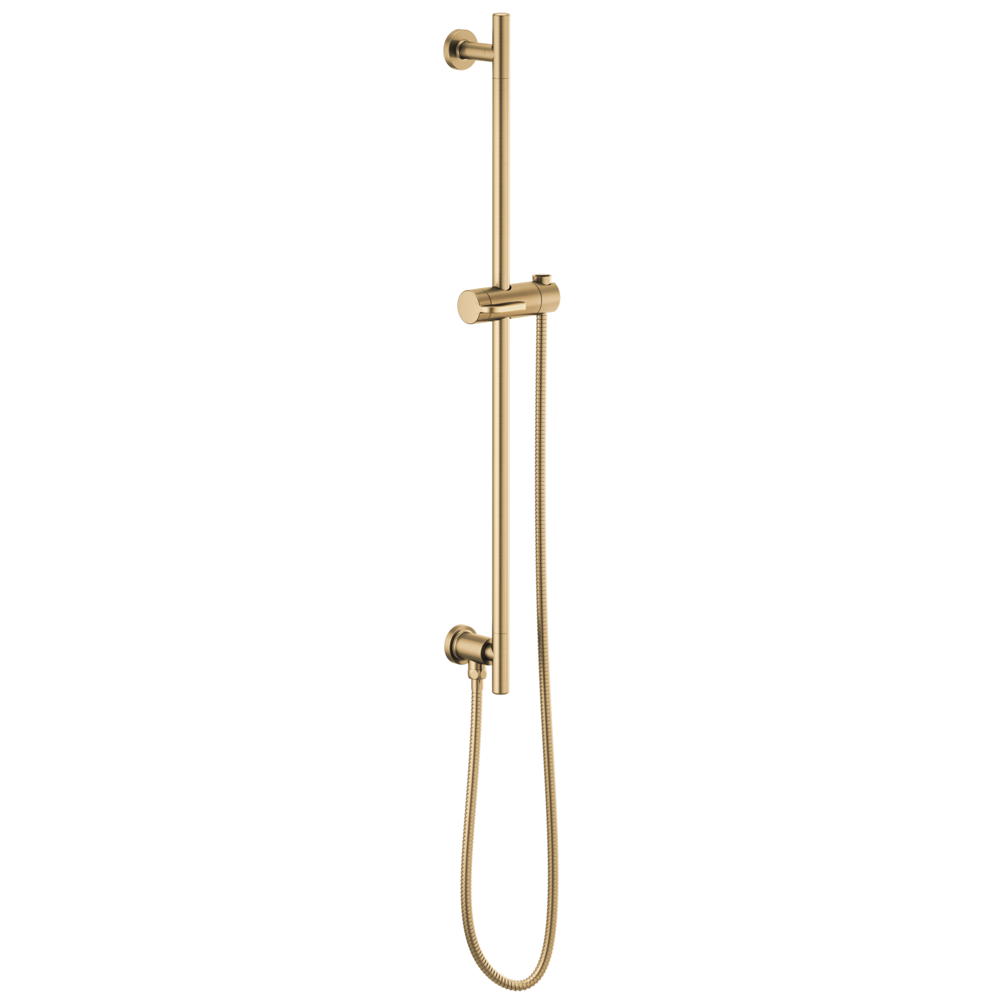 Brizo Essential™ Shower Linear Round Slide Bar With Hose