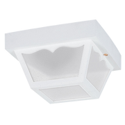 Outdoor Ceiling 1-Light Flush Mount