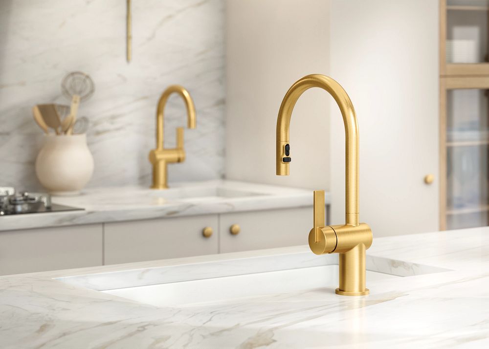 Cia One-Handle High Arc Pulldown Kitchen Faucet
