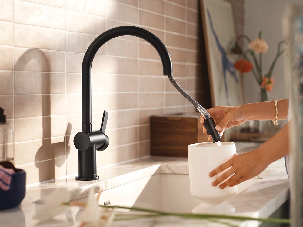 Cia One-Handle High Arc Pulldown Kitchen Faucet