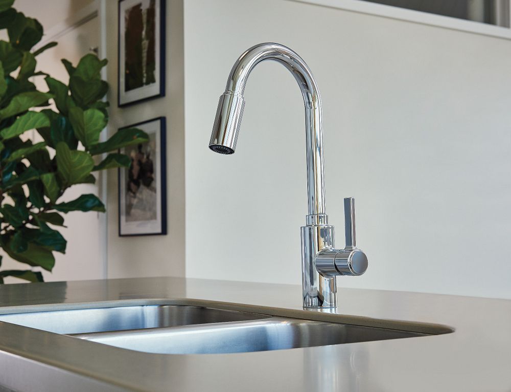 Genta LX One-Handle High Arc Pulldown Kitchen Faucet